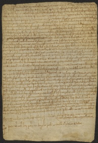 176 C.19.CLXXVIr, Investitura fatta da Eriberto vescovo a favore di Guido e di Gulferio e Fridolfo da Cortatone, fratelli, Modena, [1062-1063, dic. 28]